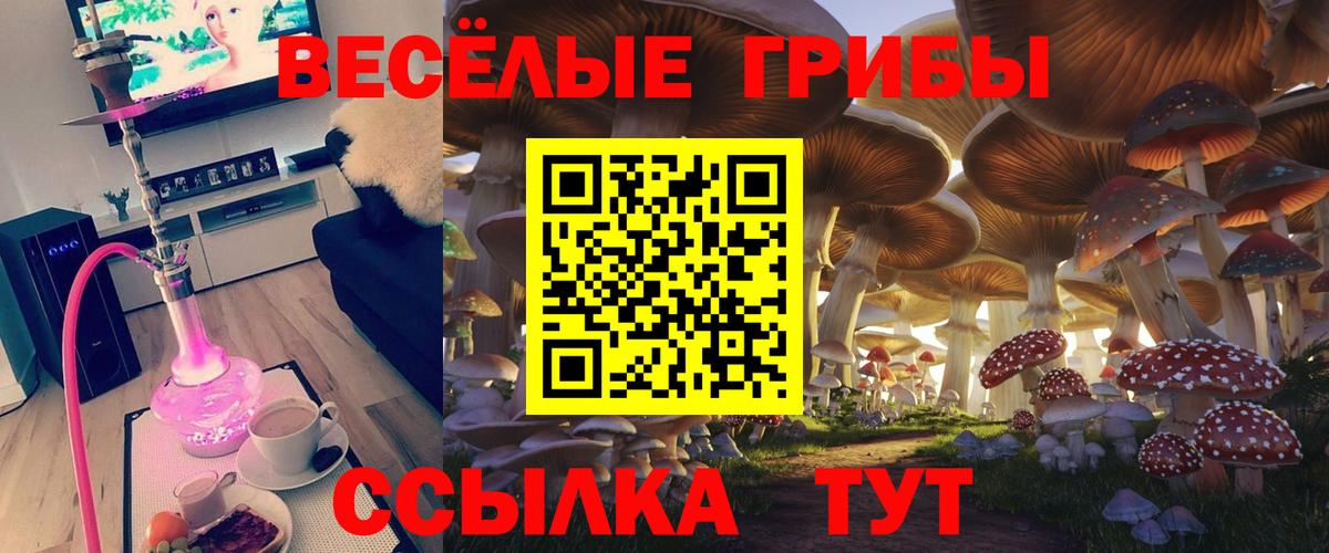 Галлюциногенные грибы мухоморы  Псилоцибиновые грибы ЛСД  Вход с VPN  Углич 
